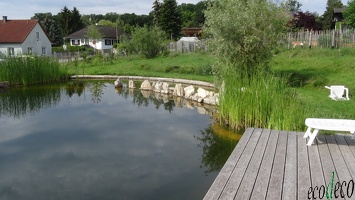 Schwimmteich im Cohousing-Projekt POMALI